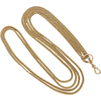 antique gaurd chain